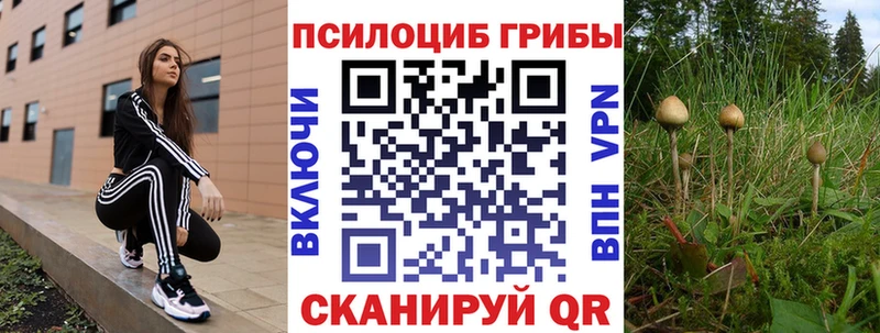 Псилоцибиновые грибы мухоморы  где продают   Малая Вишера 
